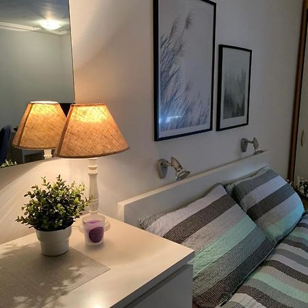 זאגרב Sarmantni Apartman Malecka 2 מראה חיצוני תמונה