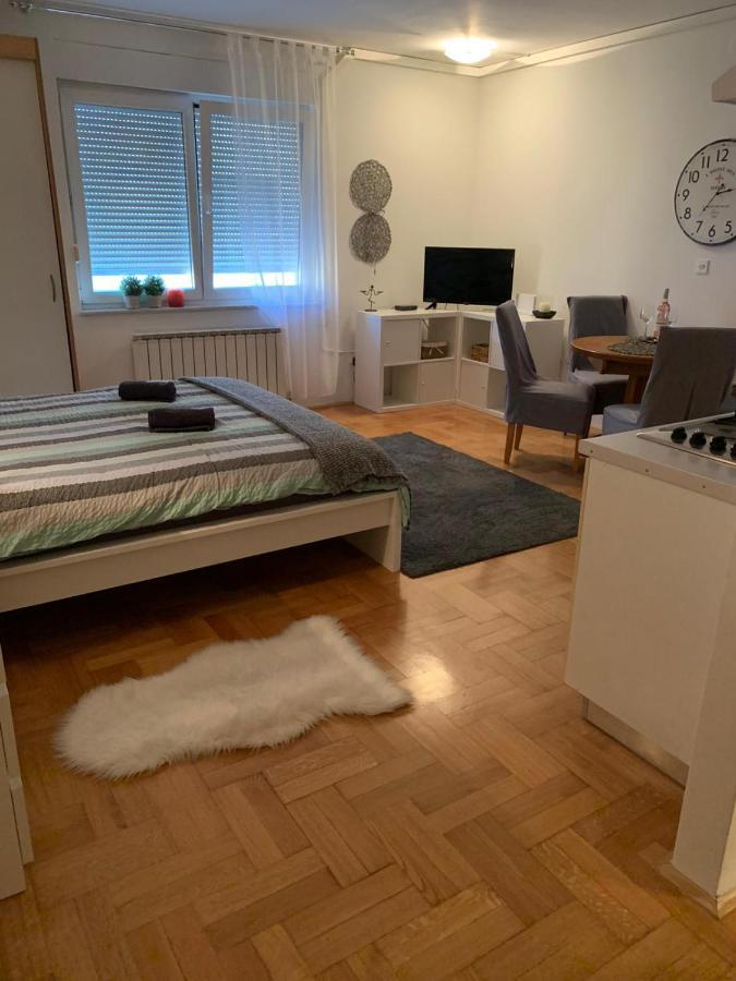 זאגרב Sarmantni Apartman Malecka 2 מראה חיצוני תמונה