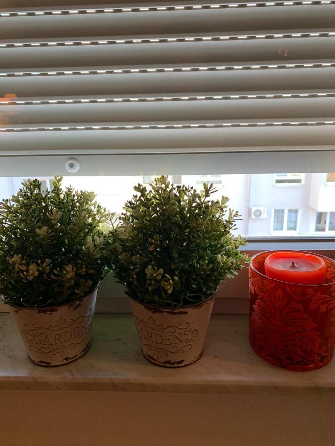 זאגרב Sarmantni Apartman Malecka 2 מראה חיצוני תמונה